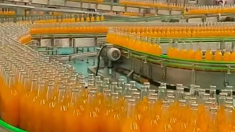 油炸机尺寸分类：如何根据需求选择合适的机型
